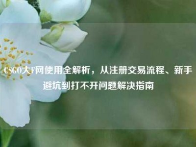 CSGO大F网使用全解析，从注册交易流程、新手避坑到打不开问题解决指南
