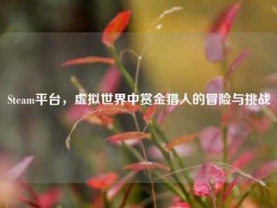 Steam平台，虚拟世界中赏金猎人的冒险与挑战