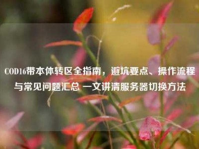 COD16带本体转区全指南，避坑要点、操作流程与常见问题汇总 一文讲清服务器切换方法
