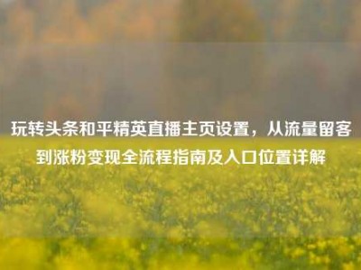 玩转头条和平精英直播主页设置，从流量留客到涨粉变现全流程指南及入口位置详解