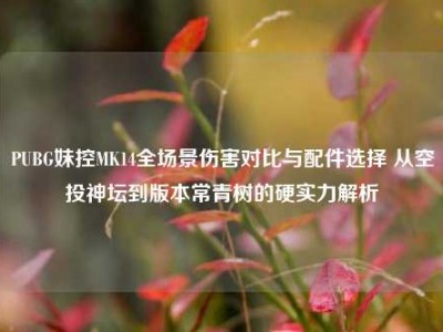 PUBG妹控MK14全场景伤害对比与配件选择 从空投神坛到版本常青树的硬实力解析