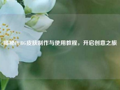 揭秘PUBG皮肤制作与使用教程，开启创意之旅
