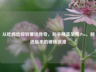 从吃鸡信仰到赛场传奇，和平精英至尊.Pro，刻进版本的硬核浪漫