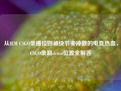 从IEM CSGO录播捡回被快节奏冲散的电竞热血，CSGO录制demo位置全解答