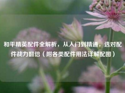 和平精英配件全解析，从入门到精通，选对配件战力翻倍（附各类配件用法详解配图）