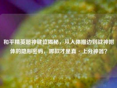 和平精英超神键位揭秘，从人体描边到战神附体的隐形密码，哪款才是真·上分神器？