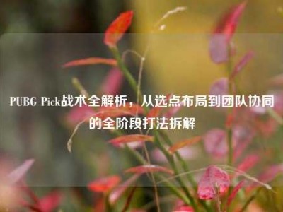 PUBG Pick战术全解析，从选点布局到团队协同的全阶段打法拆解