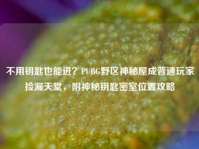 不用钥匙也能进？PUBG野区神秘屋成普通玩家捡漏天堂，附神秘钥匙密室位置攻略