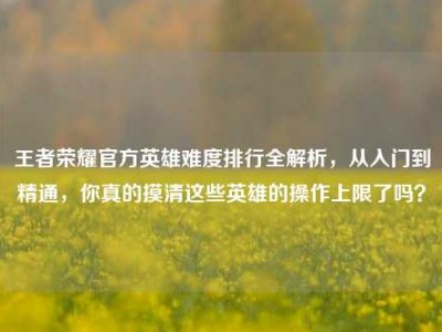 王者荣耀官方英雄难度排行全解析，从入门到精通，你真的摸清这些英雄的操作上限了吗？