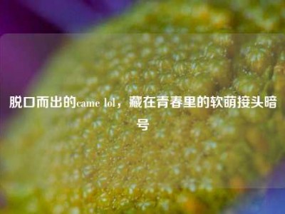 脱口而出的came lol，藏在青春里的软萌接头暗号