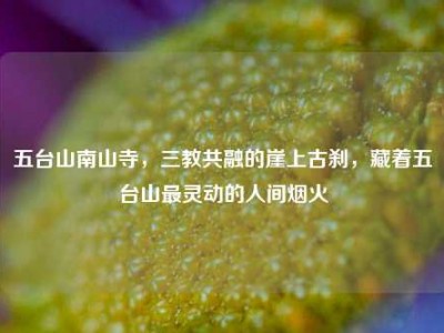 五台山南山寺，三教共融的崖上古刹，藏着五台山最灵动的人间烟火
