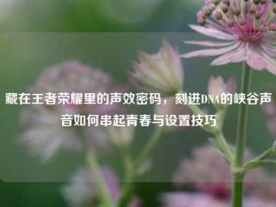 藏在王者荣耀里的声效密码，刻进DNA的峡谷声音如何串起青春与设置技巧