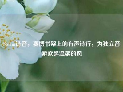 Steam诗音，赛博书架上的有声诗行，为独立音游吹起温柔的风