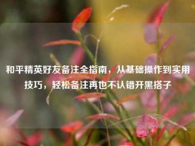和平精英好友备注全指南，从基础操作到实用技巧，轻松备注再也不认错开黑搭子
