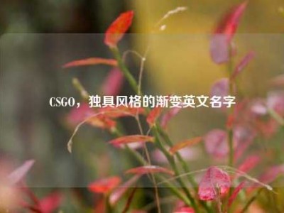CSGO，独具风格的渐变英文名字