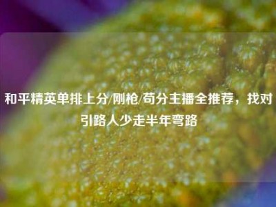 和平精英单排上分/刚枪/苟分主播全推荐，找对引路人少走半年弯路