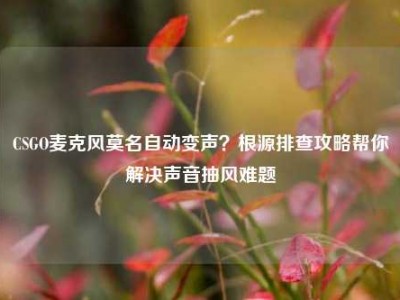 CSGO麦克风莫名自动变声？根源排查攻略帮你解决声音抽风难题