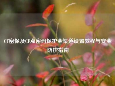 CF密保及CF点密码保护全渠道设置教程与安全防护指南