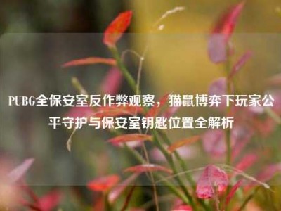 PUBG全保安室反作弊观察，猫鼠博弈下玩家公平守护与保安室钥匙位置全解析