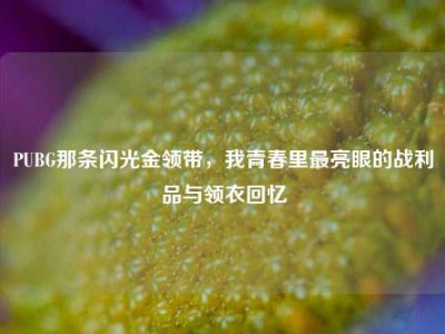 PUBG那条闪光金领带，我青春里最亮眼的战利品与领衣回忆