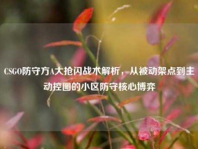 CSGO防守方A大抢闪战术解析，从被动架点到主动控图的小区防守核心博弈