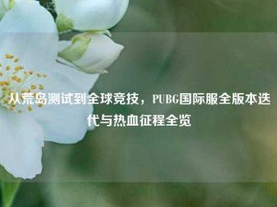 从荒岛测试到全球竞技，PUBG国际服全版本迭代与热血征程全览