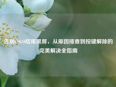 告别CSGO结尾黑屏，从原因排查到按键解除的完美解决全指南