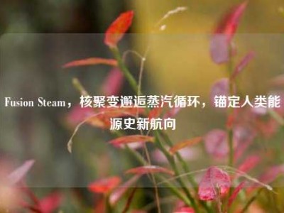 Fusion Steam，核聚变邂逅蒸汽循环，锚定人类能源史新航向