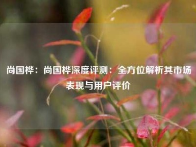 尚国桦：尚国桦深度评测：全方位解析其市场表现与用户评价
