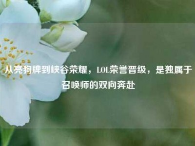 从亮狗牌到峡谷荣耀，LOL荣誉晋级，是独属于召唤师的双向奔赴