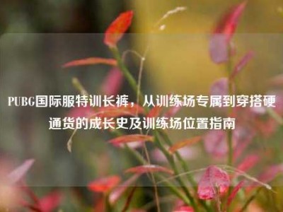 PUBG国际服特训长裤，从训练场专属到穿搭硬通货的成长史及训练场位置指南