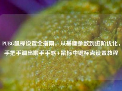 PUBG鼠标设置全指南，从基础参数到进阶优化，手把手调出顺手手感+鼠标中键标点设置教程
