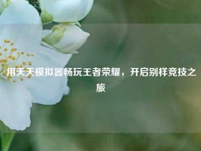 用天天模拟器畅玩王者荣耀，开启别样竞技之旅