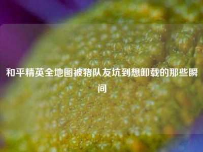 和平精英全地图被猪队友坑到想卸载的那些瞬间