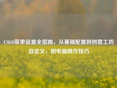 CSGO菜单设置全指南，从基础配置到创意工坊自定义，附电脑操作技巧