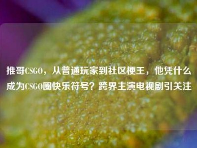 推哥CSGO，从普通玩家到社区梗王，他凭什么成为CSGO圈快乐符号？跨界主演电视剧引关注