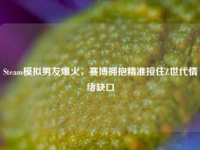 Steam模拟男友爆火，赛博拥抱精准接住Z世代情绪缺口