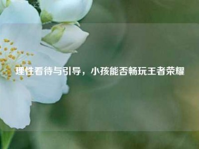 理性看待与引导，小孩能否畅玩王者荣耀