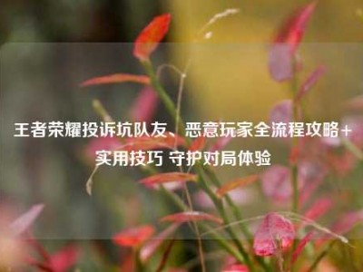 王者荣耀投诉坑队友、恶意玩家全流程攻略+实用技巧 守护对局体验