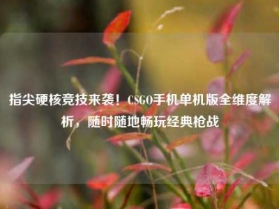 指尖硬核竞技来袭！CSGO手机单机版全维度解析，随时随地畅玩经典枪战
