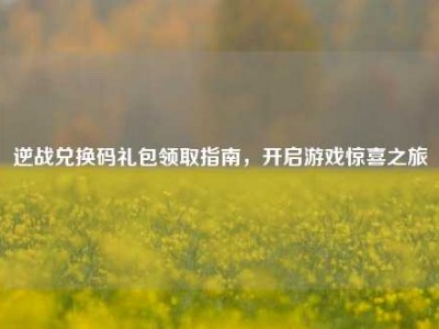 逆战兑换码礼包领取指南，开启游戏惊喜之旅