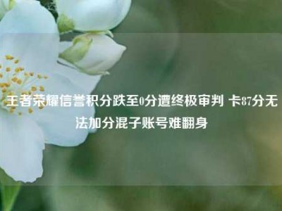 王者荣耀信誉积分跌至0分遭终极审判 卡87分无法加分混子账号难翻身