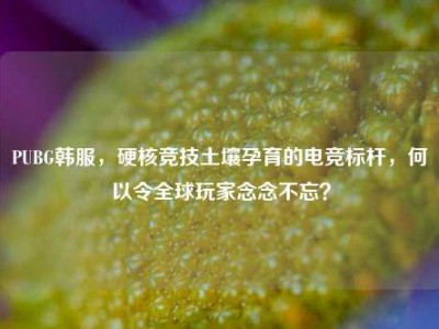 PUBG韩服，硬核竞技土壤孕育的电竞标杆，何以令全球玩家念念不忘？