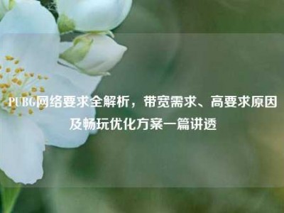 PUBG网络要求全解析，带宽需求、高要求原因及畅玩优化方案一篇讲透