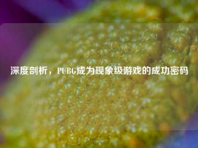 深度剖析，PUBG成为现象级游戏的成功密码