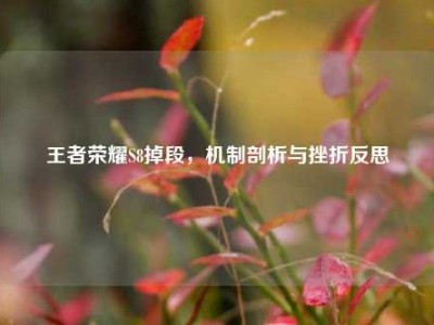 王者荣耀S8掉段，机制剖析与挫折反思