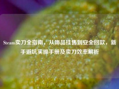 Steam卖刀全指南，从饰品挂售到安全回款，新手避坑实操手册及卖刀效率解析