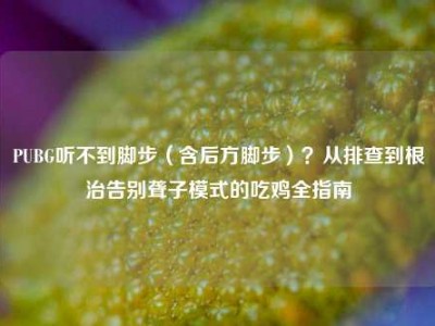 PUBG听不到脚步（含后方脚步）？从排查到根治告别聋子模式的吃鸡全指南