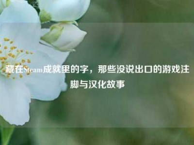 藏在Steam成就里的字，那些没说出口的游戏注脚与汉化故事