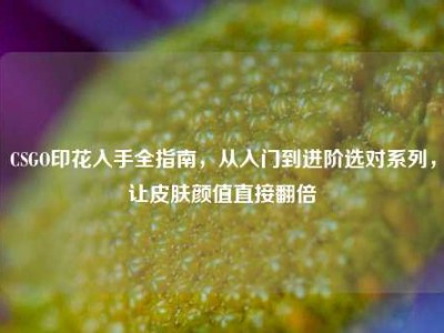 CSGO印花入手全指南，从入门到进阶选对系列，让皮肤颜值直接翻倍